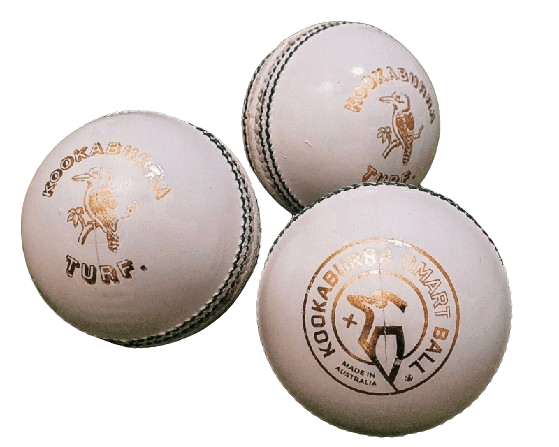 Price Of Ball Used In IPL 2024