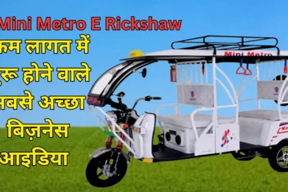 Mini Metro E Rickshaw