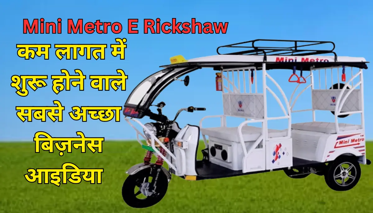 Mini Metro E Rickshaw