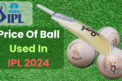 Price Of Ball Used In IPL 2024