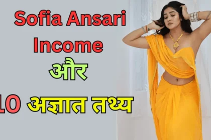 Sofia Ansari Income