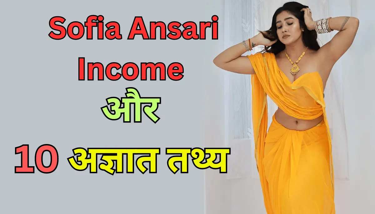 Sofia Ansari Income