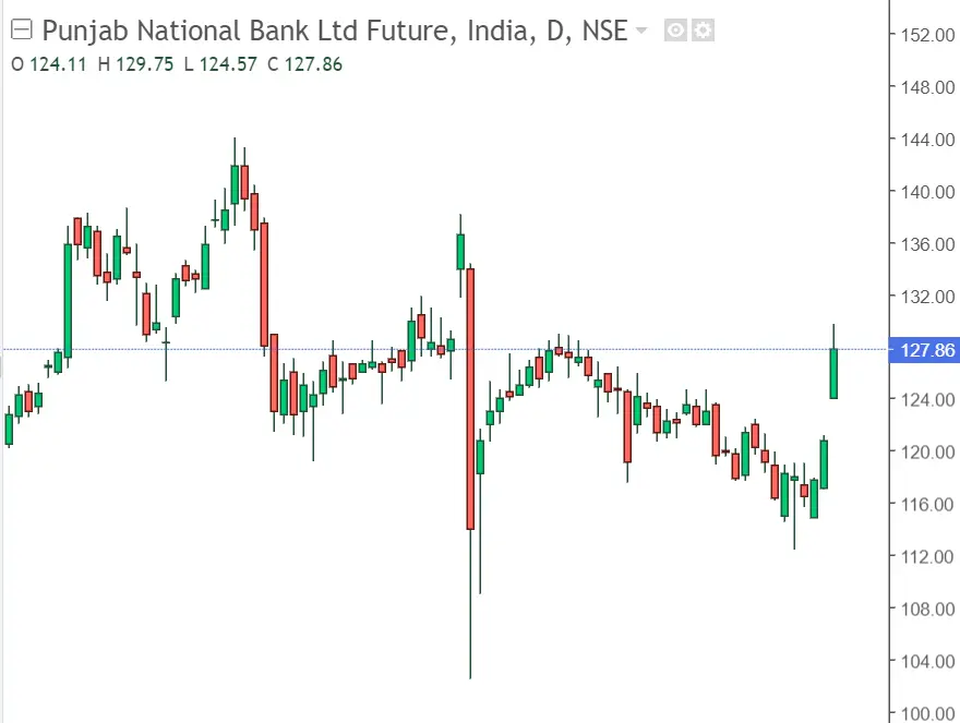 PNB Future Share Graph